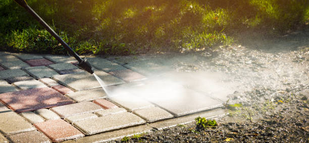 Best Animal Enclosure Cleaning  in Homeacre Lyndora, PA